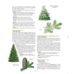 Le Grand Larousse des arbres