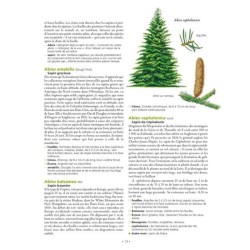 Le Grand Larousse des arbres