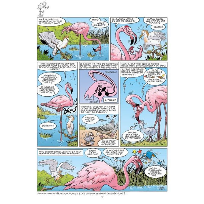 Les oiseaux en bande dessinée - Tome 3