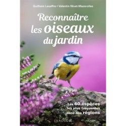 Des pièges à colle contre les vertébrés – Ligue Royale Belge pour la  Protection des Oiseaux