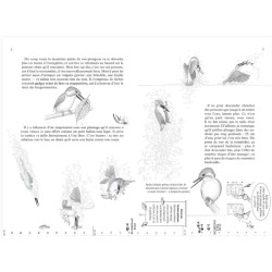 La Hulotte N°99 : Le Martin-pêcheur, l'Oiseau des Glaces La Hulotte N°99 : Le Martin-pêcheur, l'Oiseau des Glaces