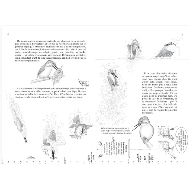 La Hulotte N°99 : Le Martin-pêcheur, l'Oiseau des Glaces