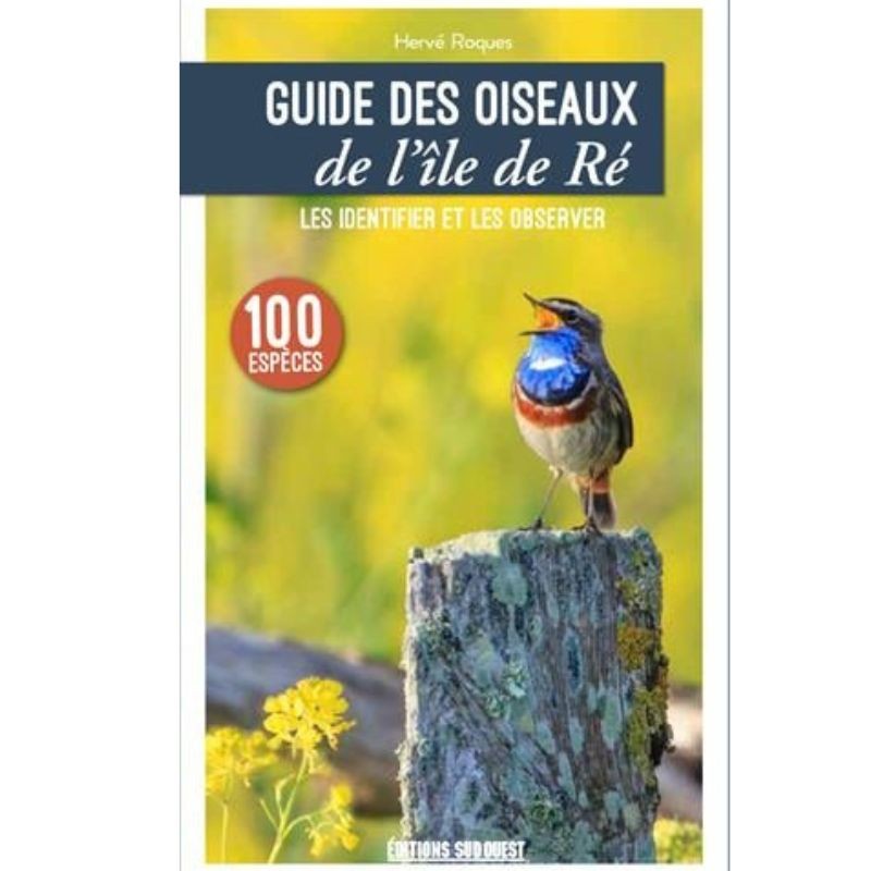 Guide des oiseaux de l'île de Ré - Les identifier et les observer
