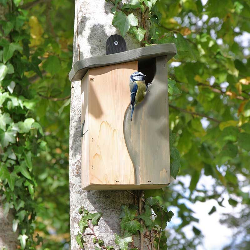 Nichoir pour mésanges Yin Yang par Simon King Nichoir pour mésanges Yin Yang par Simon King