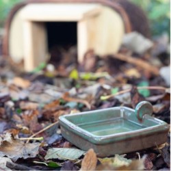 Abreuvoir carré pour hérissons