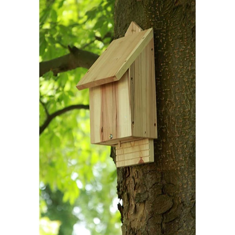 Gîte à chauves-souris Chavenage