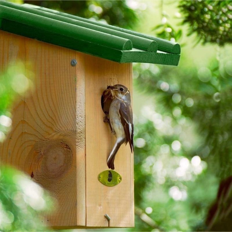 Nichoir Saba/Toronto - 32 mm