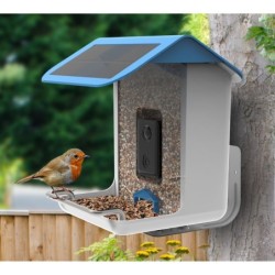 Cette mangeoire connectée vous permettra d'observer les oiseaux de très  près !
