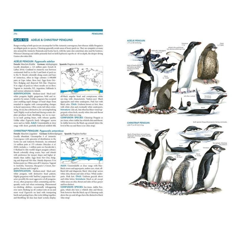 Seabirds - The New Identification Guide