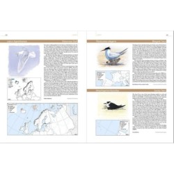 European Breeding Bird Atlas 2 - Distribution, Abundance and Change European Breeding Bird Atlas 2 - Distribution, Abundance and Change