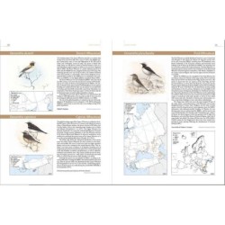 European Breeding Bird Atlas 2 - Distribution, Abundance and Change European Breeding Bird Atlas 2 - Distribution, Abundance and Change