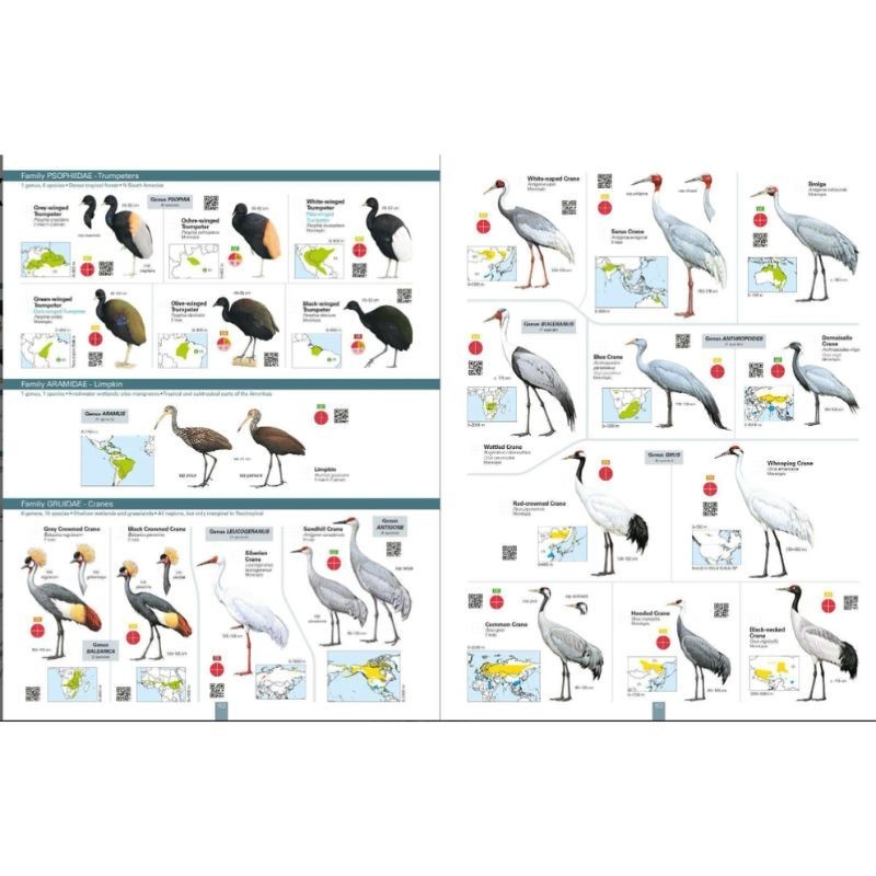 All the Birds of the World All the Birds of the World