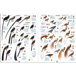 All the Birds of the World All the Birds of the World