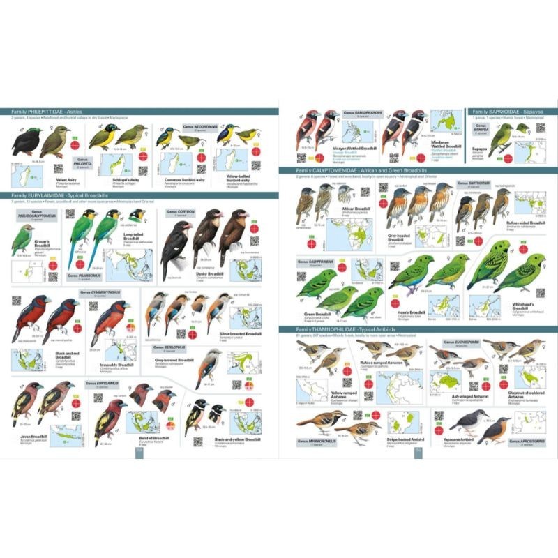 All the Birds of the World All the Birds of the World