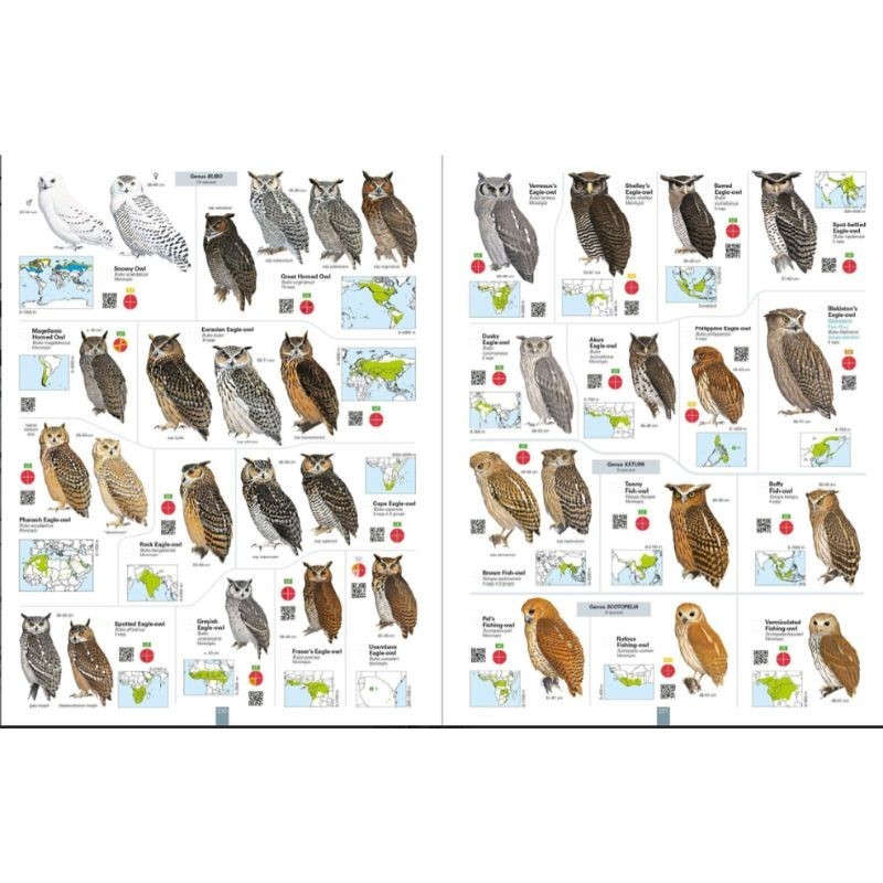 All the Birds of the World All the Birds of the World