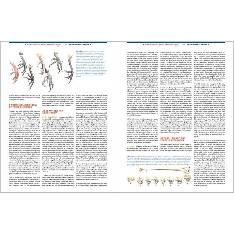 The Largest Avian Radiation - The Evolution of Perching Birds or the Order Passeriformes