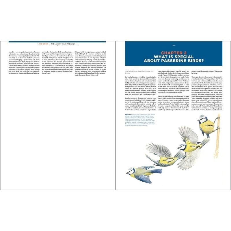 The Largest Avian Radiation - The Evolution of Perching Birds or the Order Passeriformes