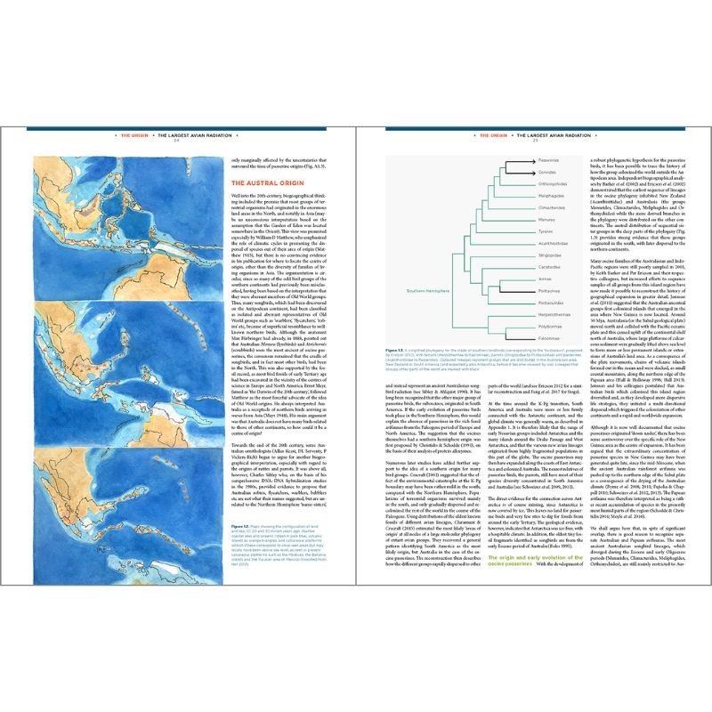 The Largest Avian Radiation - The Evolution of Perching Birds or the Order Passeriformes