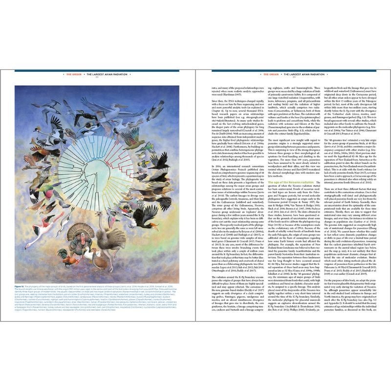 The Largest Avian Radiation - The Evolution of Perching Birds or the Order Passeriformes