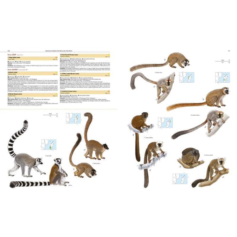Illustrated Checklist of the Mammals of the World