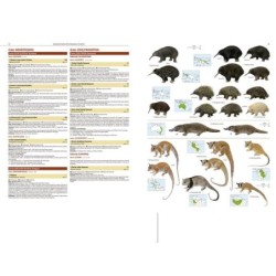 Illustrated Checklist of the Mammals of the World