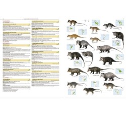 Illustrated Checklist of the Mammals of the World
