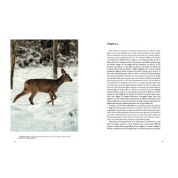 L'Homme-chevreuil - Sept ans de vie sauvage - Edition illustrée avec les photographies de l'auteur L'Homme-chevreuil - Sept ans de vie sauvage - Edition illustrée avec les photographies de l'auteur