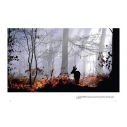 L'Homme-chevreuil - Sept ans de vie sauvage - Edition illustrée avec les photographies de l'auteur L'Homme-chevreuil - Sept ans de vie sauvage - Edition illustrée avec les photographies de l'auteur