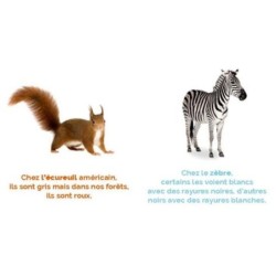 À plumes, à poils ou à écailles ? Mon imagier nature À plumes, à poils ou à écailles ? Mon imagier nature