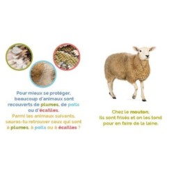 Poster Animaux à Poils et à Plumes –