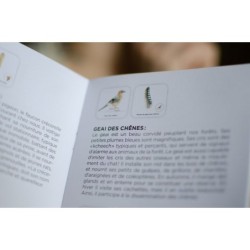 Mémo des oiseaux - Jeu de mémoire Mémo des oiseaux - Jeu de mémoire