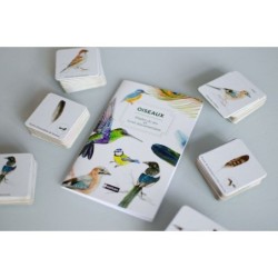 Mémo des oiseaux - Jeu de mémoire Mémo des oiseaux - Jeu de mémoire