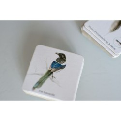 Mémo des oiseaux - Jeu de mémoire Mémo des oiseaux - Jeu de mémoire