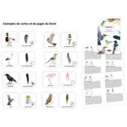 Mémo des oiseaux - Jeu de mémoire Mémo des oiseaux - Jeu de mémoire