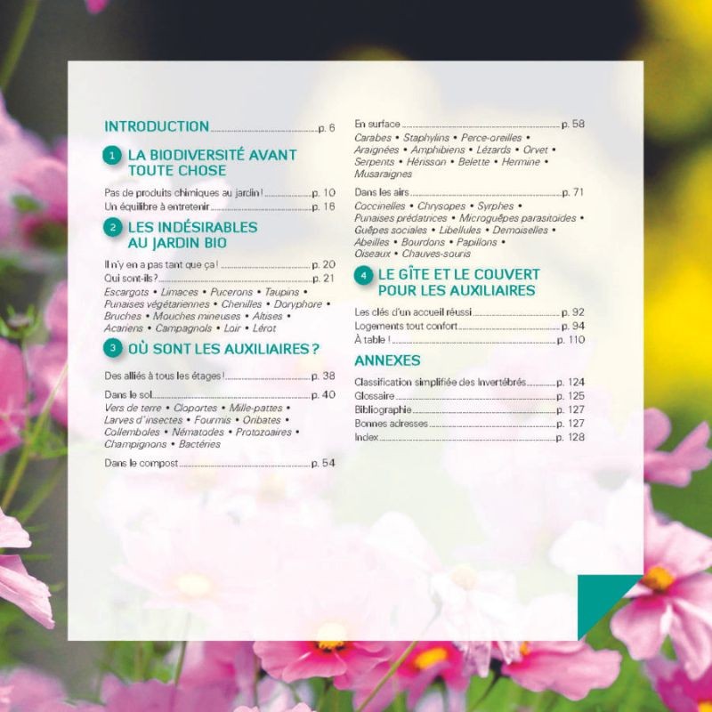 Des auxiliaires dans mon jardin ! Les attirer, les loger, les nourrir