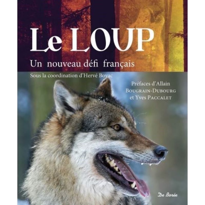 Loup : biographie et actualités - Sciences et Avenir