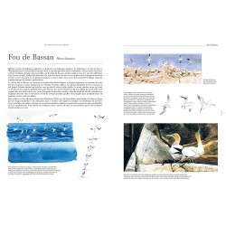 Le comportement des oiseaux d'Europe Le comportement des oiseaux d'Europe