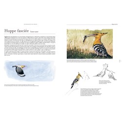 Le comportement des oiseaux d'Europe Le comportement des oiseaux d'Europe