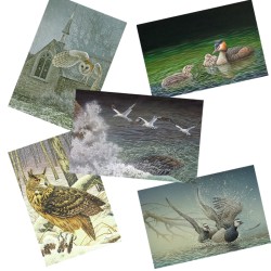 5 cartes de correspondance - Série 6 (Buzin)