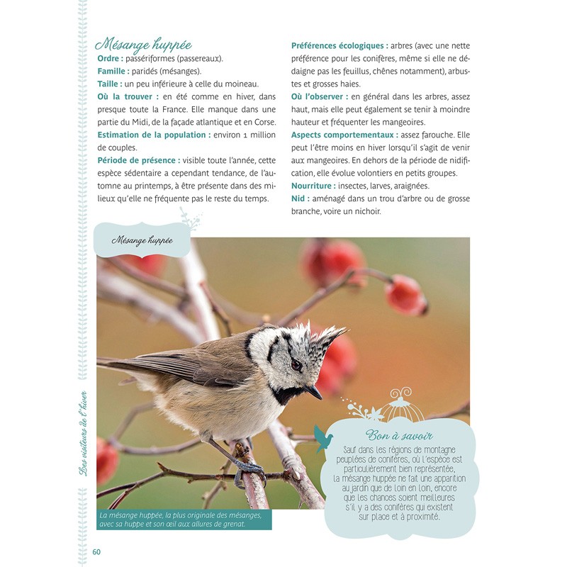 Les oiseaux du jardin et du balcon + CD