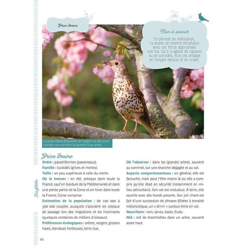 Les oiseaux du jardin et du balcon + CD