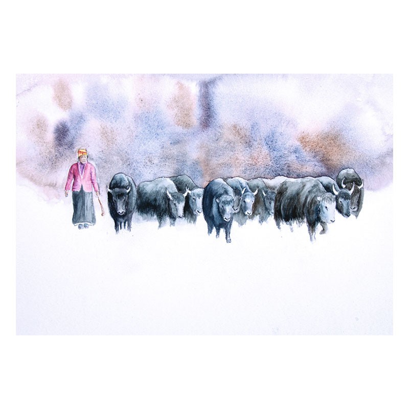 Tirage d'aquarelle de Yves Fagniart "Troupeau de yacks"