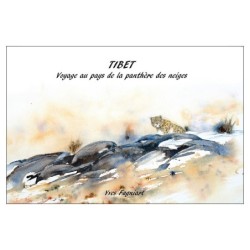 Carnet de voyage « Tibet, voyage au pays de la panthère des neiges » de Yves Fagniart