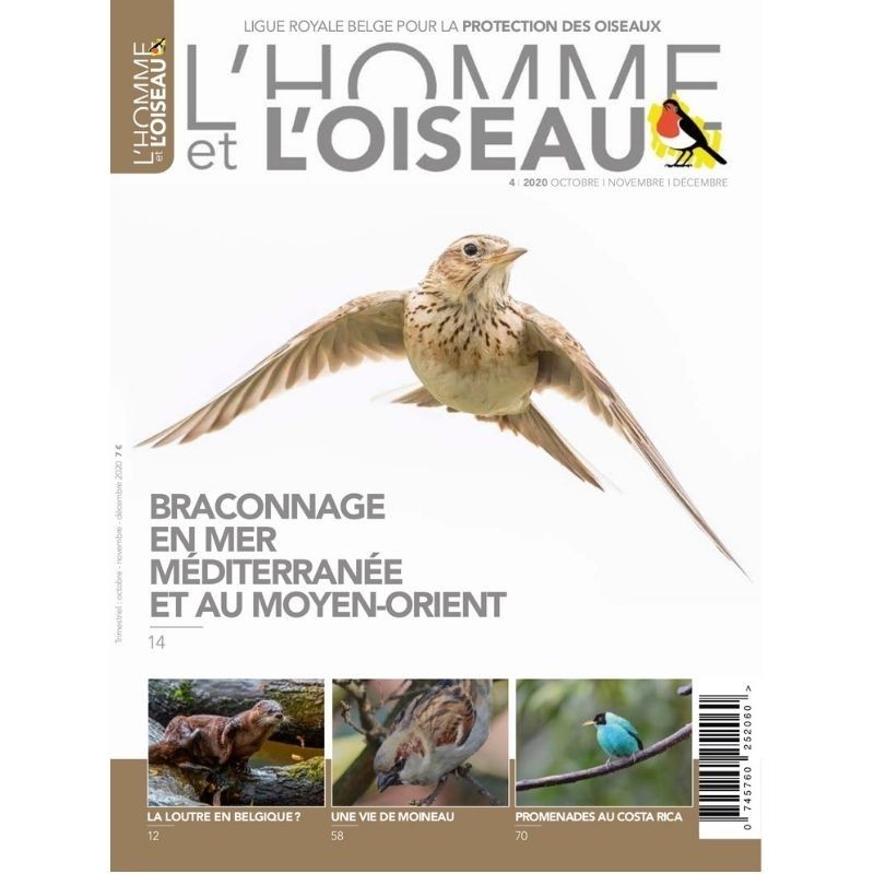 Revue L'Homme et l'Oiseau - Braconnage en mer Méditerranée et au Moyen-Orient - 4/2020