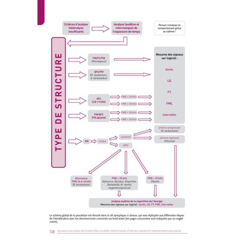 Ecologie acoustique des chiroptères d'Europe - Identification des espèces, étude de leurs habitats et comportements de chasse