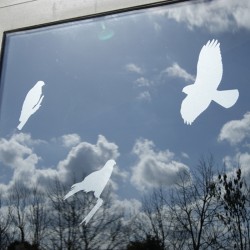 Autocollants anticollisions - Hibou & Cie - Lot de 4 Autocollants anticollisions - Hibou & Cie - Lot de 4