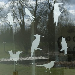 Autocollants anticollisions - Oiseaux des jardins - Lot de 12 Autocollants anticollisions - Oiseaux des jardins - Lot de 12
