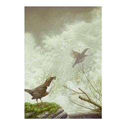 5 cartes de correspondance - Série 10 (Buzin)