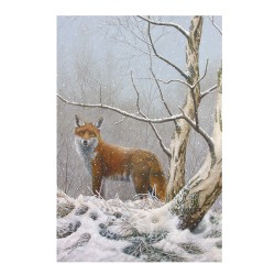 5 cartes de correspondance - Série 10 (Buzin)