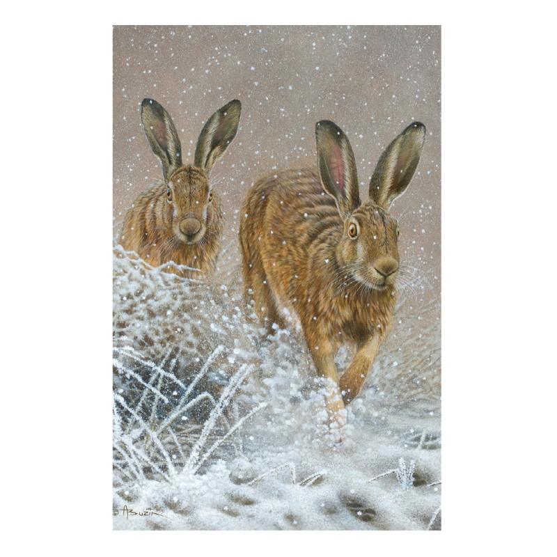 5 cartes de correspondance - Série 10 (Buzin)